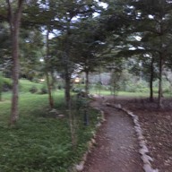 Kensington Close Hotel