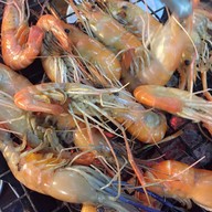 หน้าร้าน ตังค์เต็ม กุ้งย่าง ติวานนท์