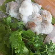 สาคู ปากหม้อ