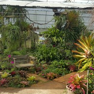 บรรยากาศ Silathong Coffee And Flower