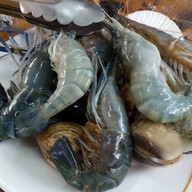 ยกทะเลขึ้นบก