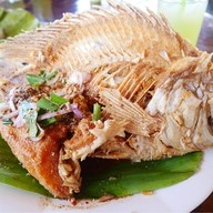 เมนูของร้าน นิว ไก่ย่างบัวตอง 2 สามแยกวิเชียรบุรี