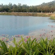 ครัวขอบชล