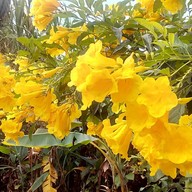 ครัวขอบชล