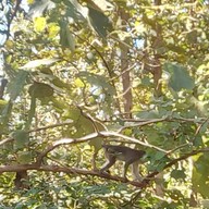 ครัวขอบชล