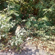 ครัวขอบชล