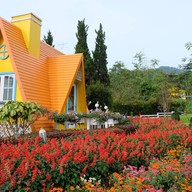 บรรยากาศ Phukaew Cottage เขาค้อ เพชรบูรณ์