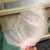 เมนูของร้าน APBO Major Ratchayothin