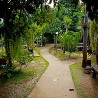 ร้านนิวเมนูปลา