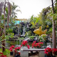 ร้านนิวเมนูปลา