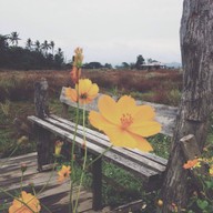 หน้าร้าน เฮือนไม้กาแฟ