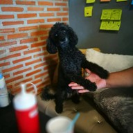 บรรยากาศ Trophy Dessert Bar and Steak