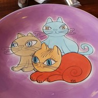 Cat Cafe Chiang Rai
