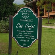 Cat Cafe Chiang Rai