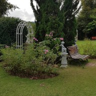 Cat Cafe Chiang Rai
