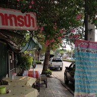 อาหารป่า เจ้เพลิน