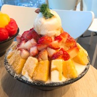 Snow Tree JAS URBAN Srinakarin