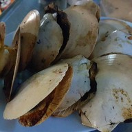 นายแกละซีฟ๊ต