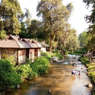 แจ้ซ้อนกาแฟสด