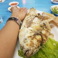 หอยสเตชั่น