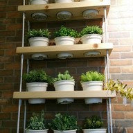 Salad And Steak By Farm In Love