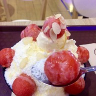 Snow Tree เมเจอร์ ปิ่นเกล้า