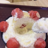 Snow Tree เมเจอร์ ปิ่นเกล้า