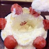 Snow Tree เมเจอร์ ปิ่นเกล้า