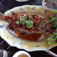 เมนูของร้าน ร้านอาหารครัวมะขามหวาน