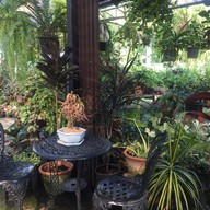 บรรยากาศ กาแฟสดสวนลุงแจ๋