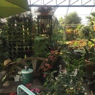 บรรยากาศ กาแฟสดสวนลุงแจ๋