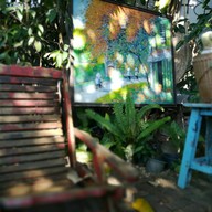 Coffee Berry สังขละบุรี