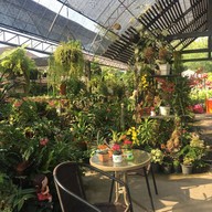 บรรยากาศ กาแฟสดสวนลุงแจ๋