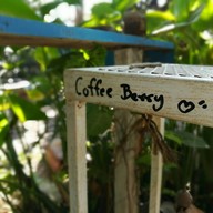Coffee Berry สังขละบุรี