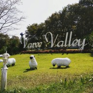 วารี วัลเล่ย์