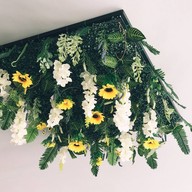 สุขนิยม 01