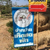 ม.เมา ฟาร์มเห็ด