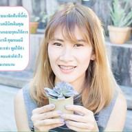 W Chiangmai dental clinic