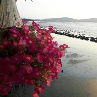 วิวทะเล