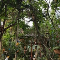 Baan Serene Thai Massage Serene Bangkok Bed & Breakfast