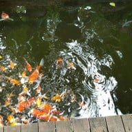 Baan Serene Thai Massage Serene Bangkok Bed & Breakfast