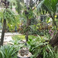 Baan Serene Thai Massage Serene Bangkok Bed & Breakfast