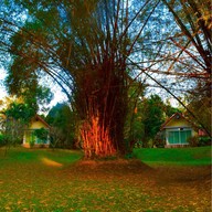 ครัวริมน้ำ วิมานน้ำรีสอร์ท แก่งกระจาน จ.เพชรบุรี