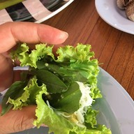 วิลล่า เมี่ยงปลาเผา