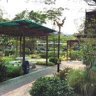 กาแฟในสวน โรงไฟฟ้าบางปะกง
