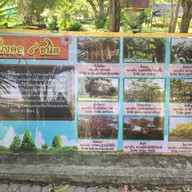 กาแฟในสวน โรงไฟฟ้าบางปะกง