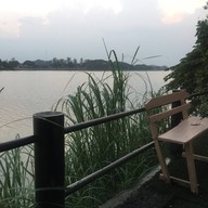 ชบา ชัยนาท