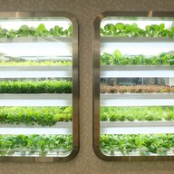 MK LIVE เอ็มควอเทียร์