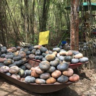 บรรยากาศ น้ำตาลสด-ปอกะบิด ตลาดน้ำกวางโจว