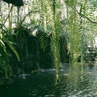 บรรยากาศ Bike Berry 10 Organic Farm